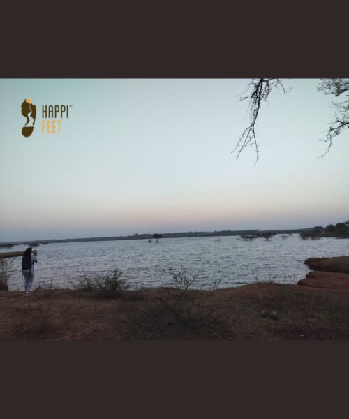 A walk around Hesaraghatta